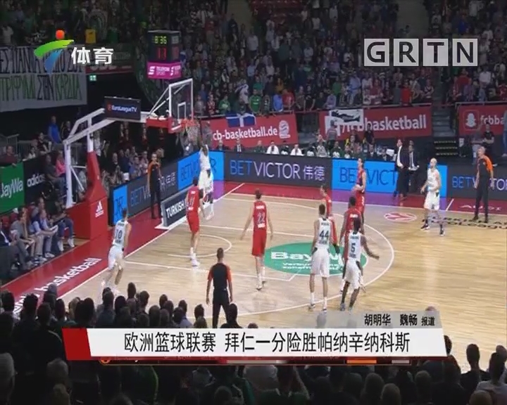 11人阵容 11人阵容
